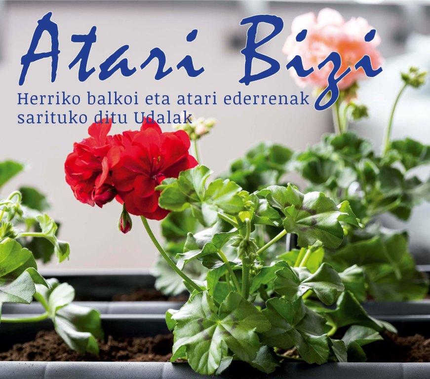 20220623AtariBizi