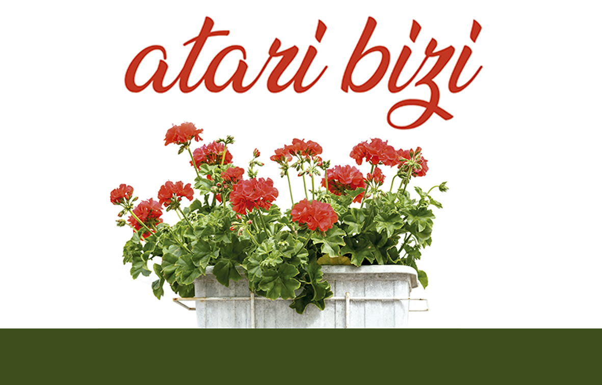 20240709AtariBiziw