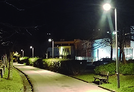 20260126 Argiteria