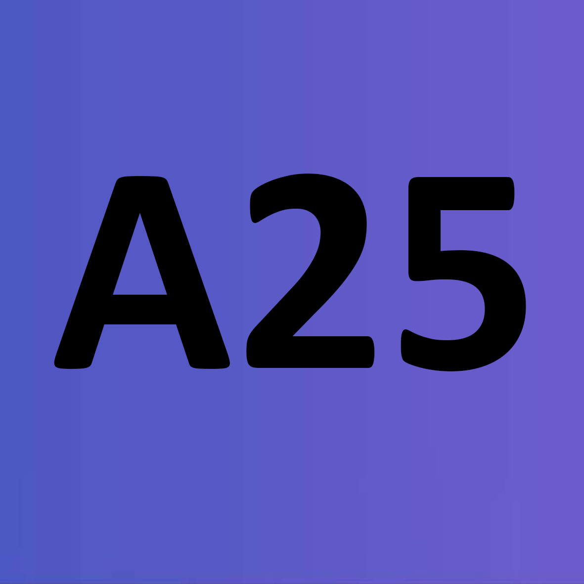 A25-24 3