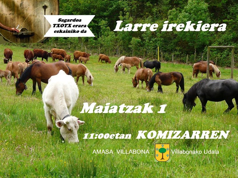 AZKENEKOA 1100