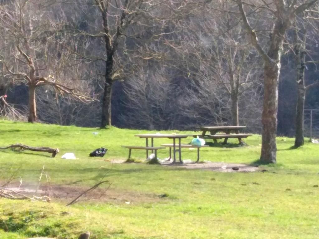 Komizar parkea GAUR