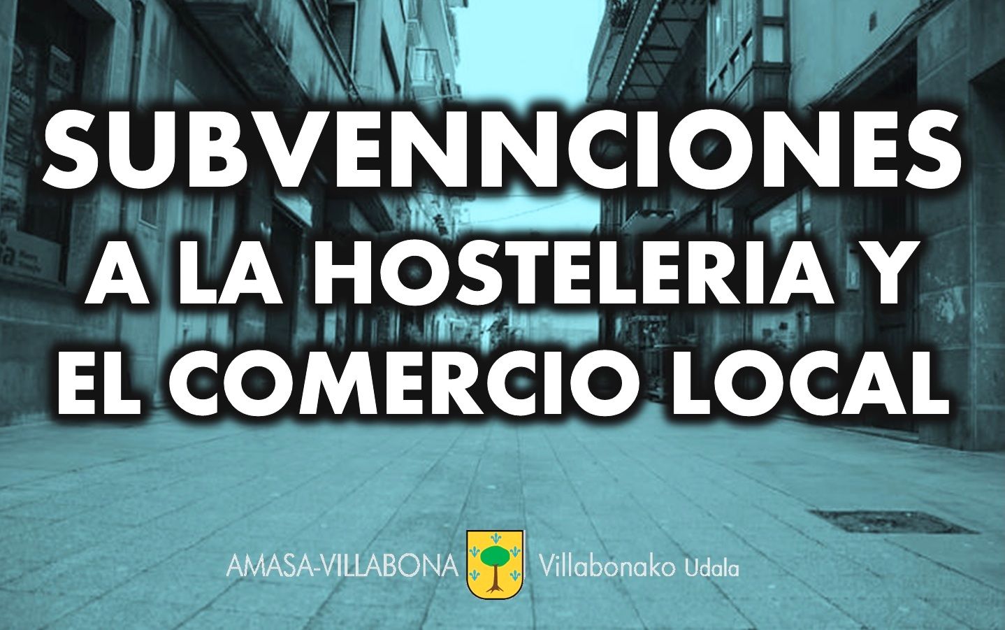 SUBVENCIONES WEBE