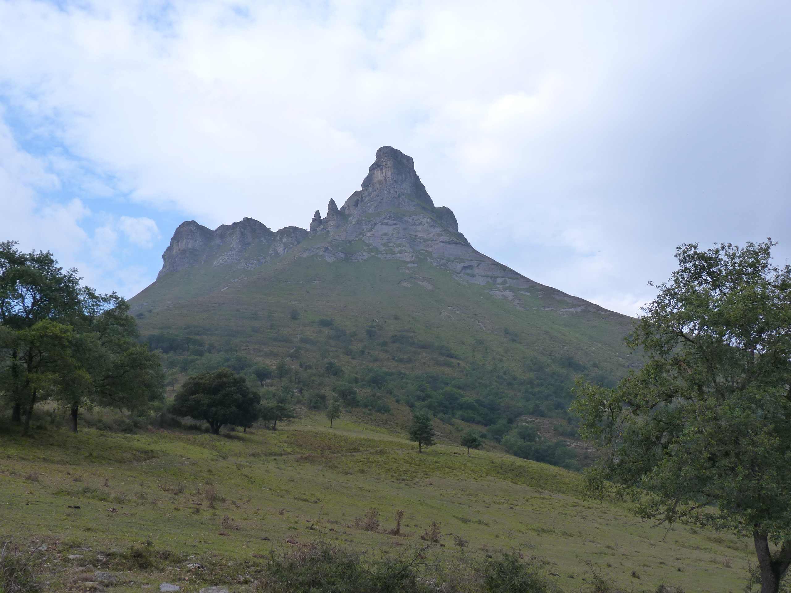 Tologorri