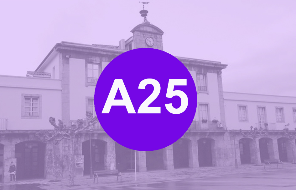 a25 2024 2