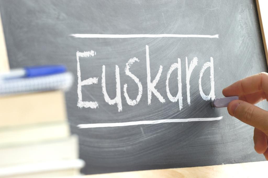 euskera euskara política lingüística 0